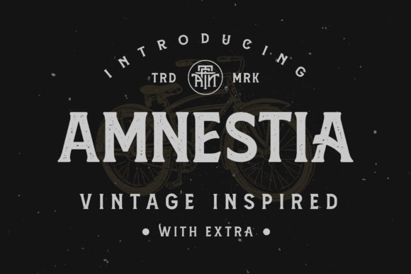 Amnestia: A Modern-Classic Serif Font for Handmade Branding