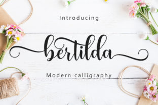 Bertilda Script Typeface Review for Handmade Branding
