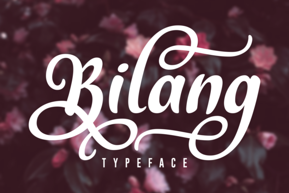 Bilang Typeface: Bold Script Fonts for Elegant Branding