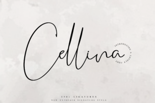Cellina: A Bold Script Handwritten Font for Modern Web Design