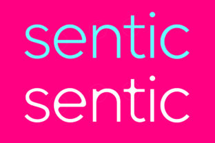 Sentic Typeface Review for Modern Digital Campaigns